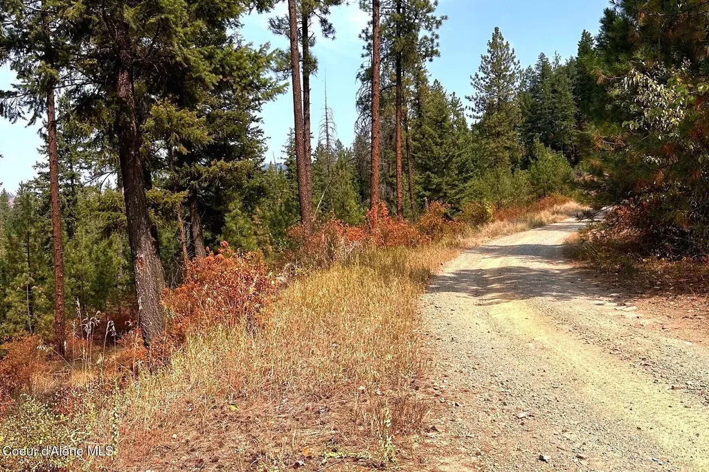 Lot 1a Moose Mountain Priest River ID 83856