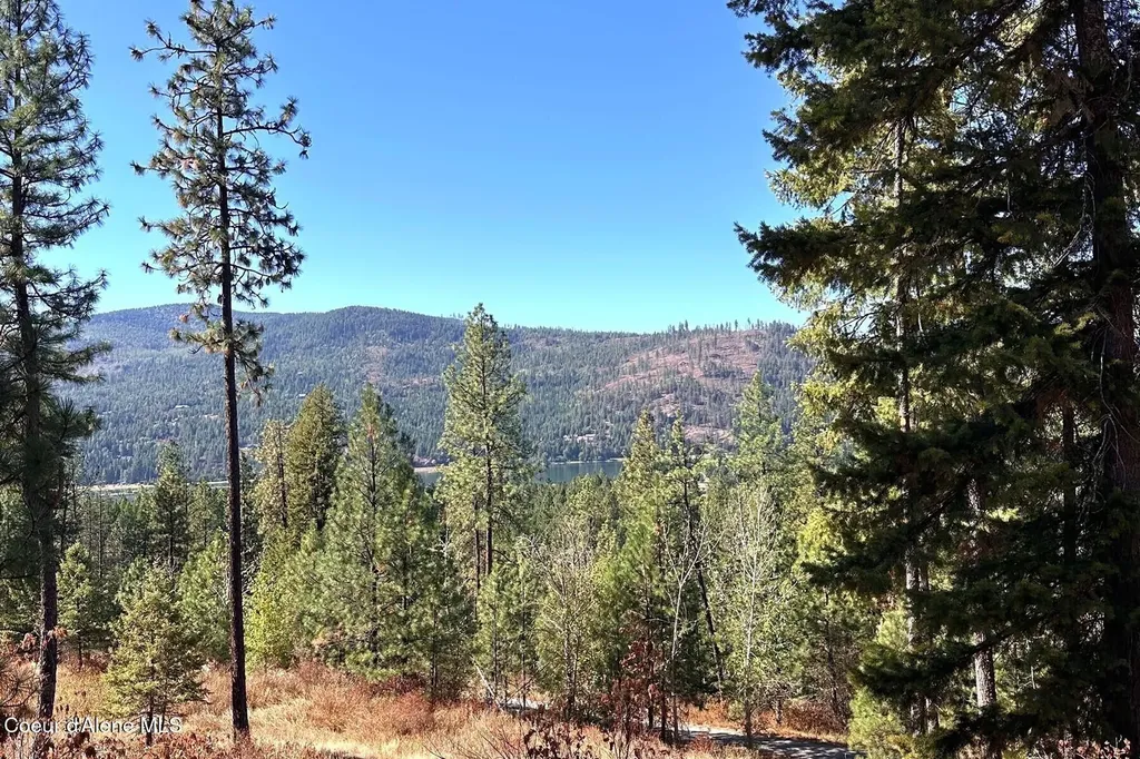 Lot 1a Moose Mountain Priest River ID 83856