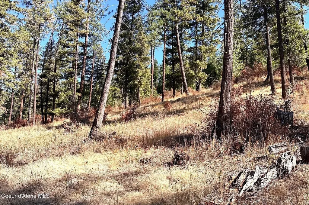 Lot 1a Moose Mountain Priest River ID 83856