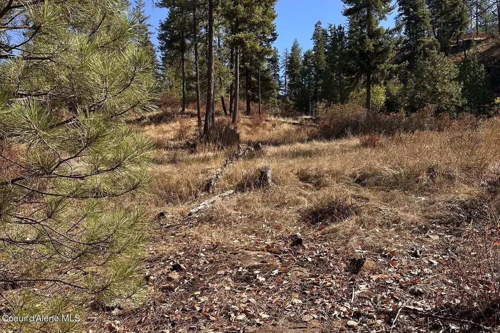 Lot 1a Moose Mountain Priest River ID 83856