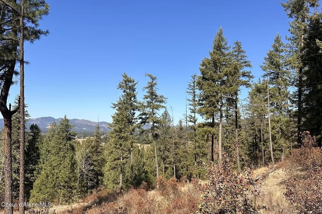 Lot 1a Moose Mountain Priest River ID 83856