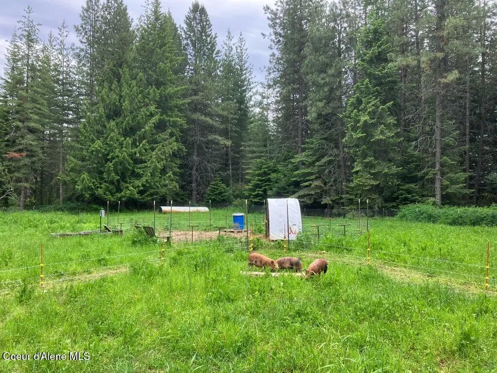 2853 N Kootenai Road Sandpoint ID 83864