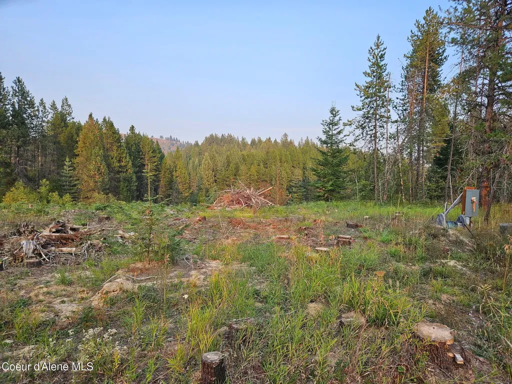 461 Bear Road Priest River ID 83856
