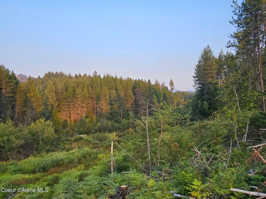 461 Bear Road Priest River ID 83856