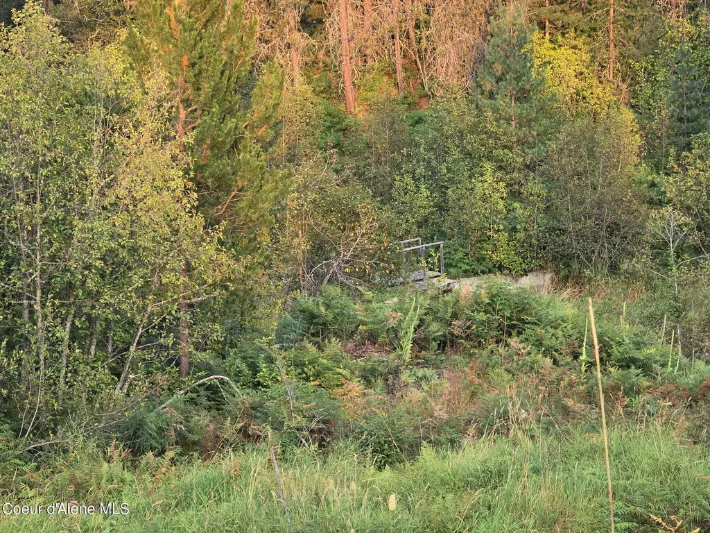461 Bear Road Priest River ID 83856