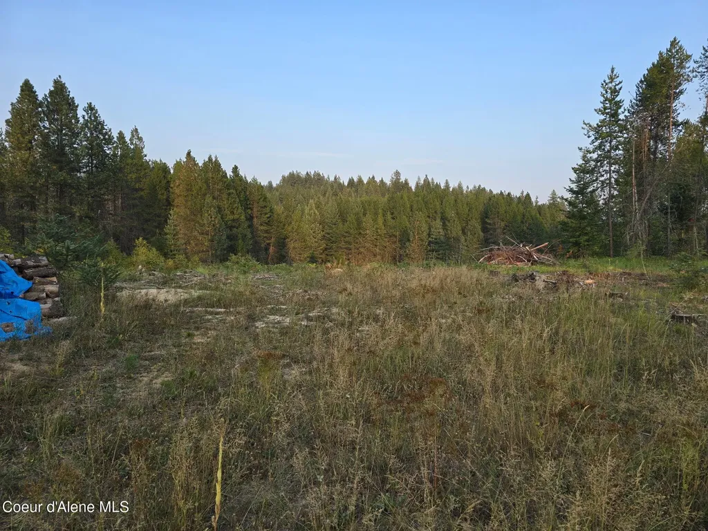 461 Bear Road Priest River ID 83856