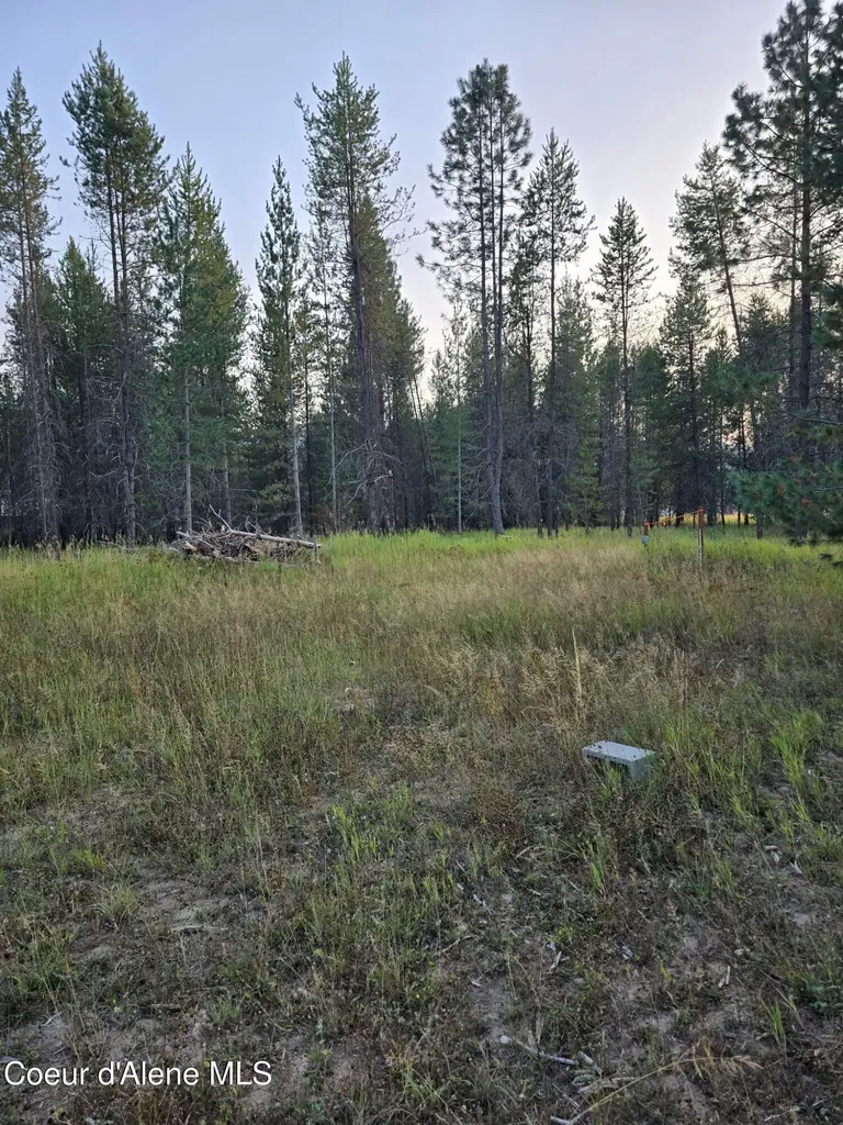 461 Bear Road Priest River ID 83856