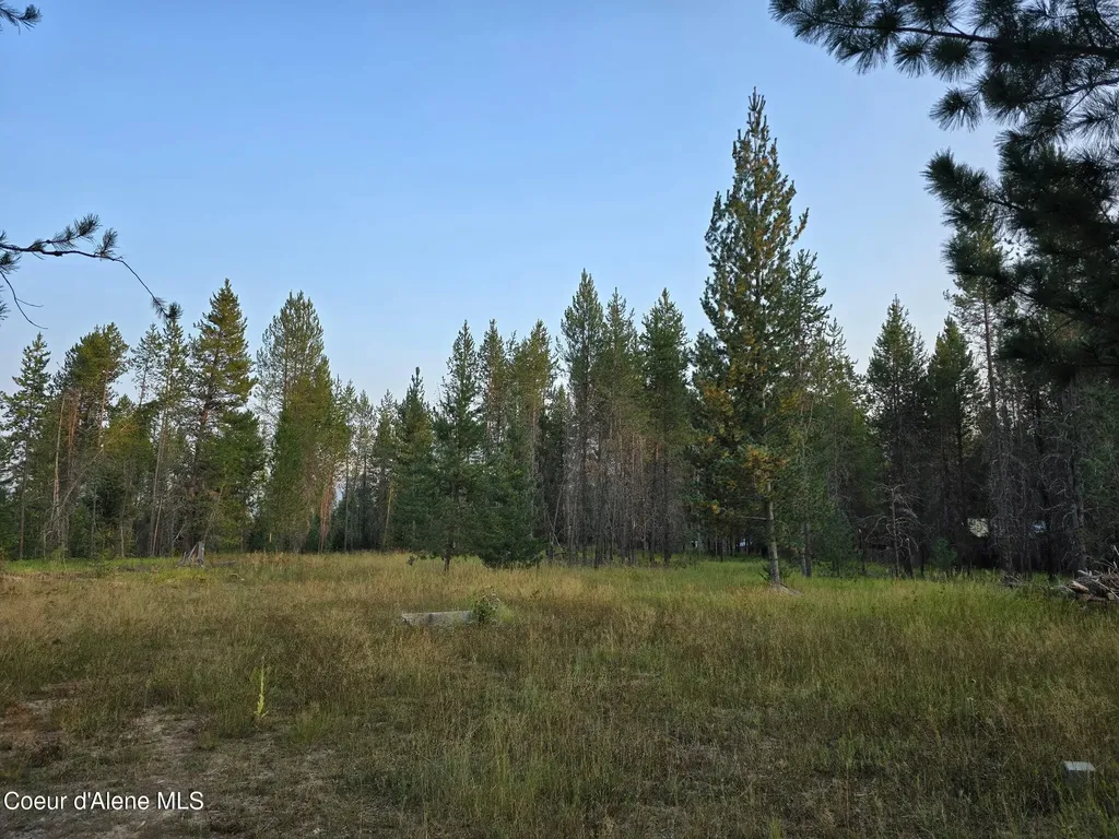 461 Bear Road Priest River ID 83856