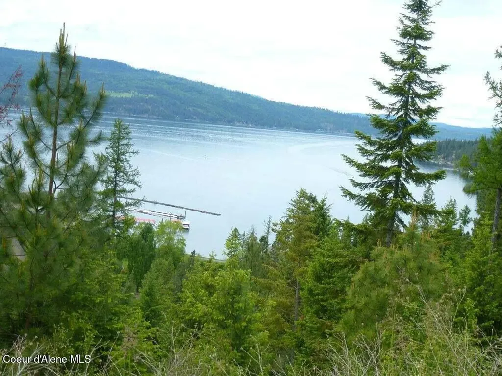 Lot 11 Flying Eagle Drive Harrison ID 83833
