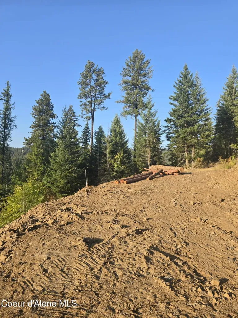 Lot 11 Flying Eagle Drive Harrison ID 83833