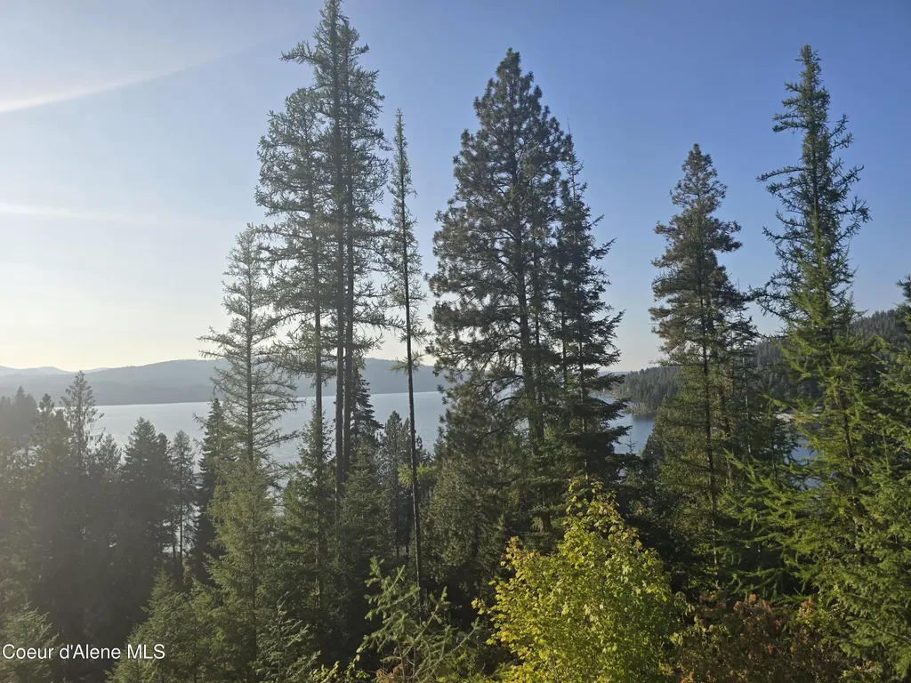 Lot 11 Flying Eagle Drive Harrison ID 83833