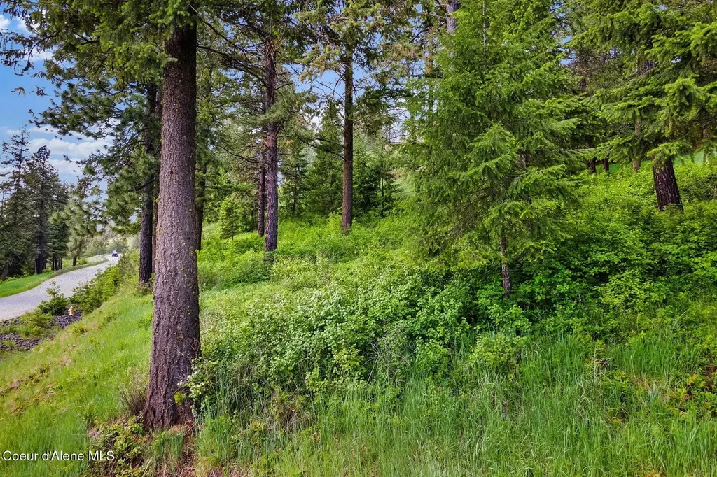 Lot 13 Ridge At Sunup Bay Worley ID 83876
