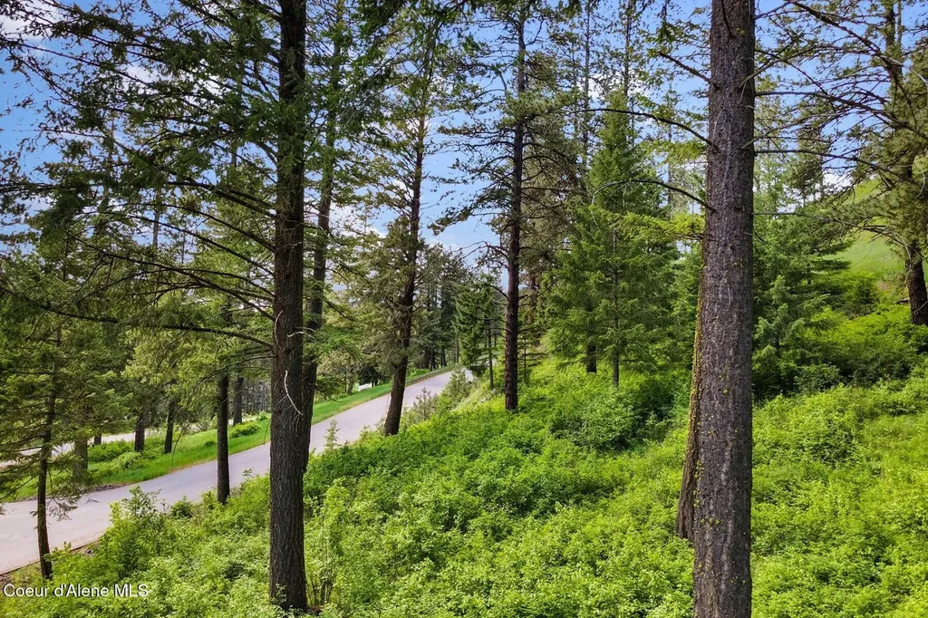 Lot 13 Ridge At Sunup Bay Worley ID 83876