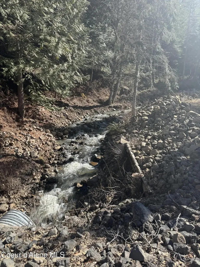 Flying Eagle Lot 19 Harrison ID 83833