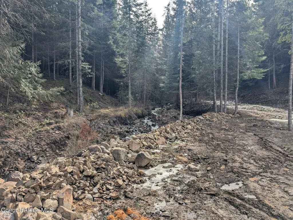 Flying Eagle Lot 19 Harrison ID 83833