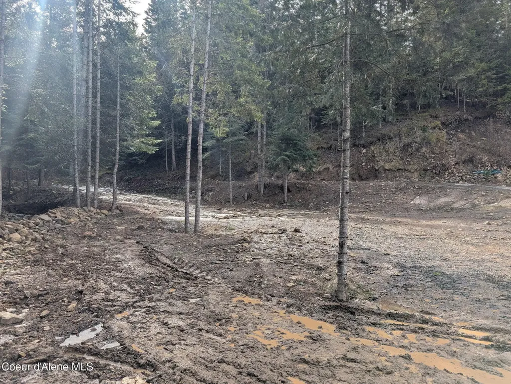 Flying Eagle Lot 19 Harrison ID 83833