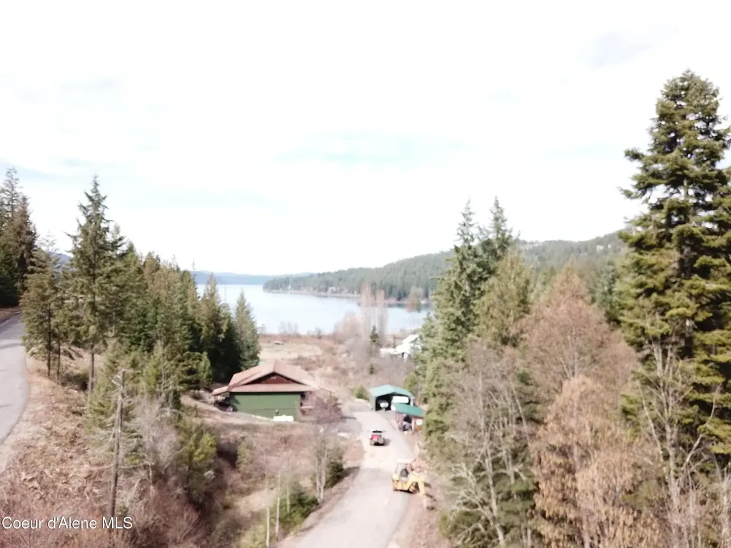 Flying Eagle Lot 19 Harrison ID 83833