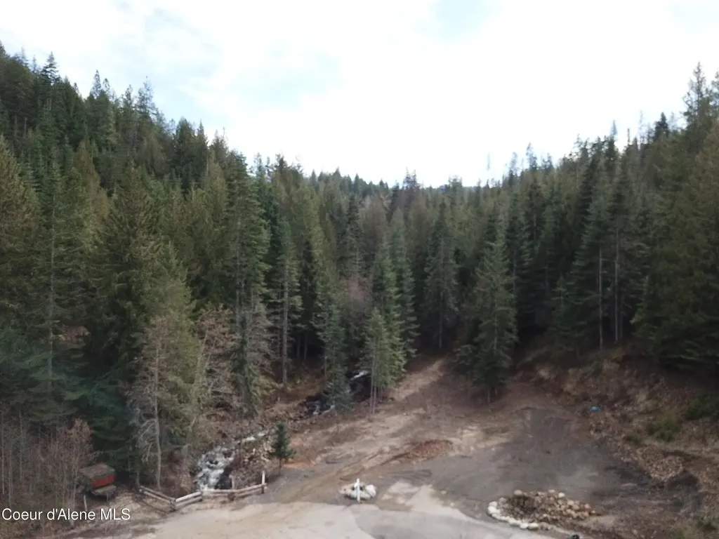 Flying Eagle Lot 19 Harrison ID 83833