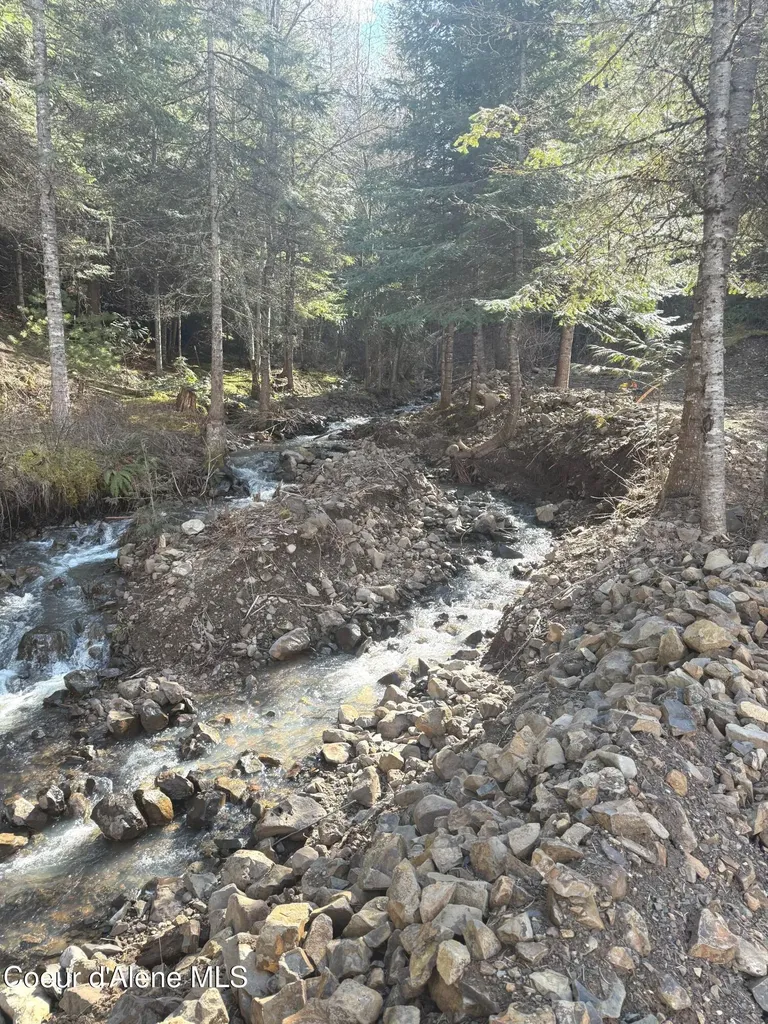 Flying Eagle Lot 19 Harrison ID 83833