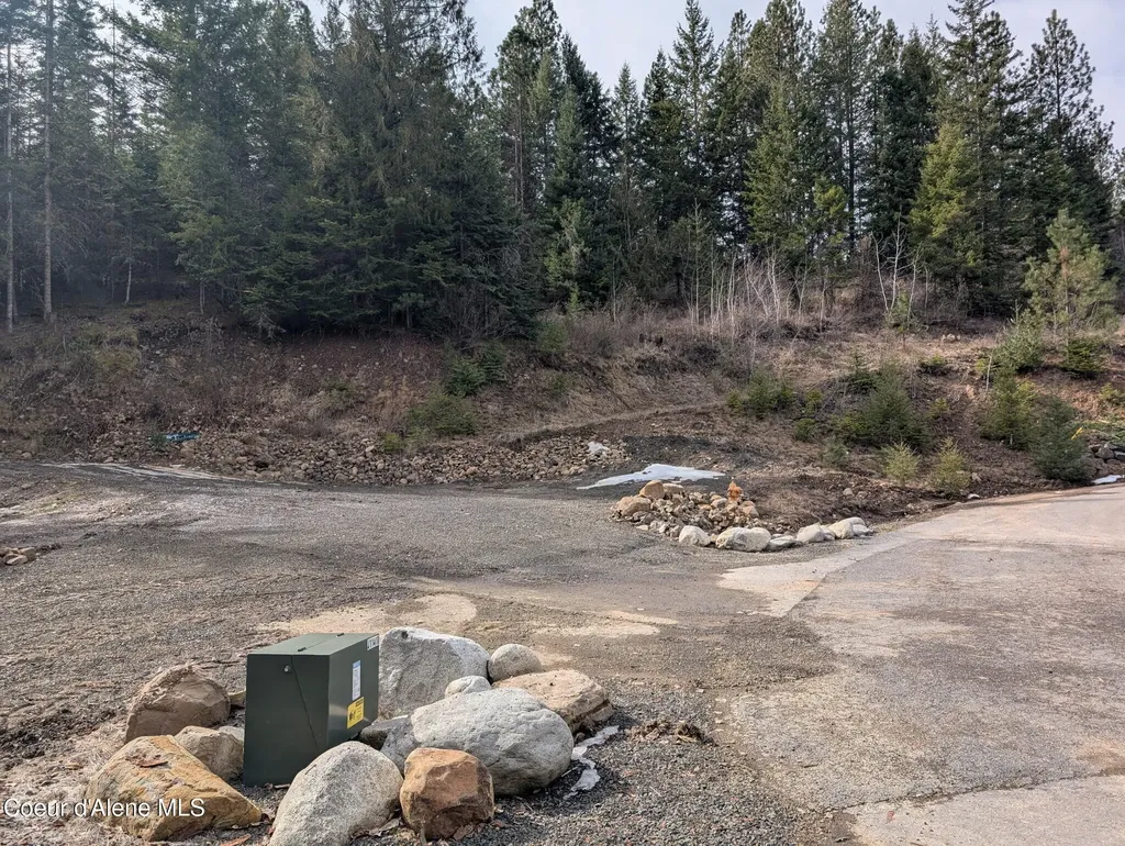Flying Eagle Lot 19 Harrison ID 83833