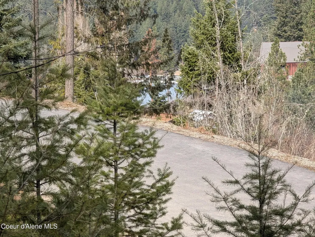 Flying Eagle Lot 19 Harrison ID 83833