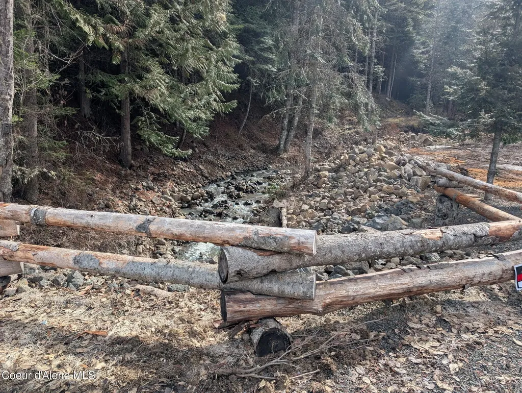 Flying Eagle Lot 19 Harrison ID 83833