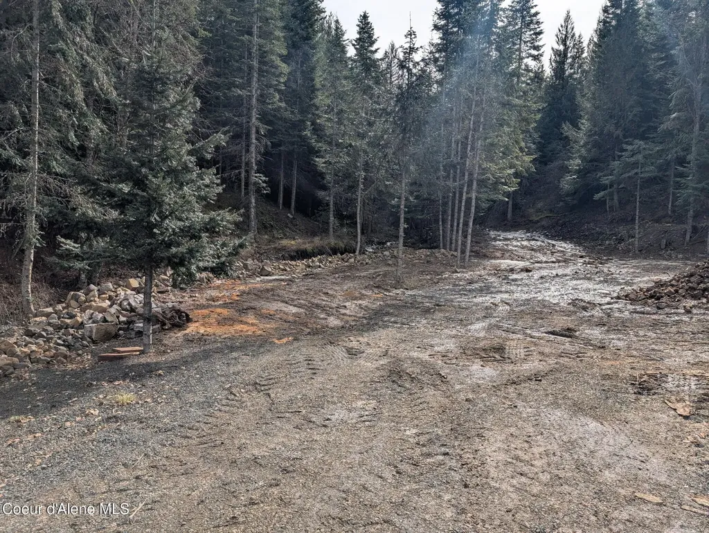 Flying Eagle Lot 19 Harrison ID 83833