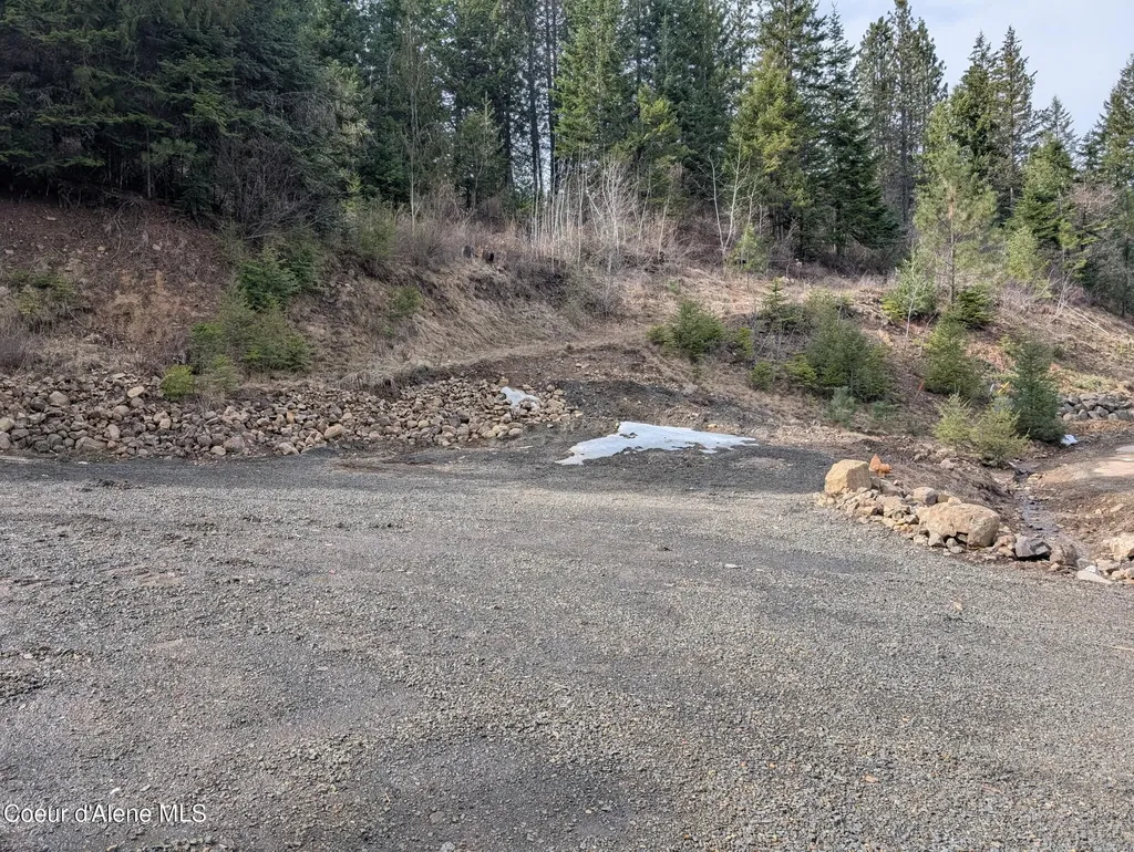 Flying Eagle Lot 19 Harrison ID 83833