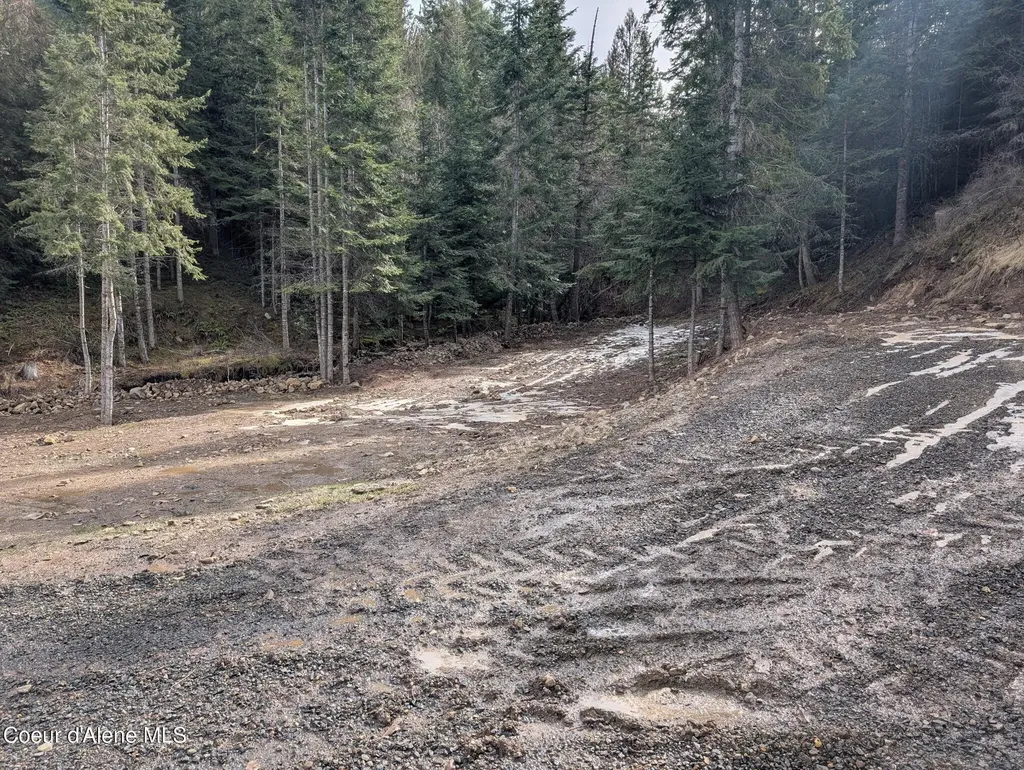 Flying Eagle Lot 19 Harrison ID 83833