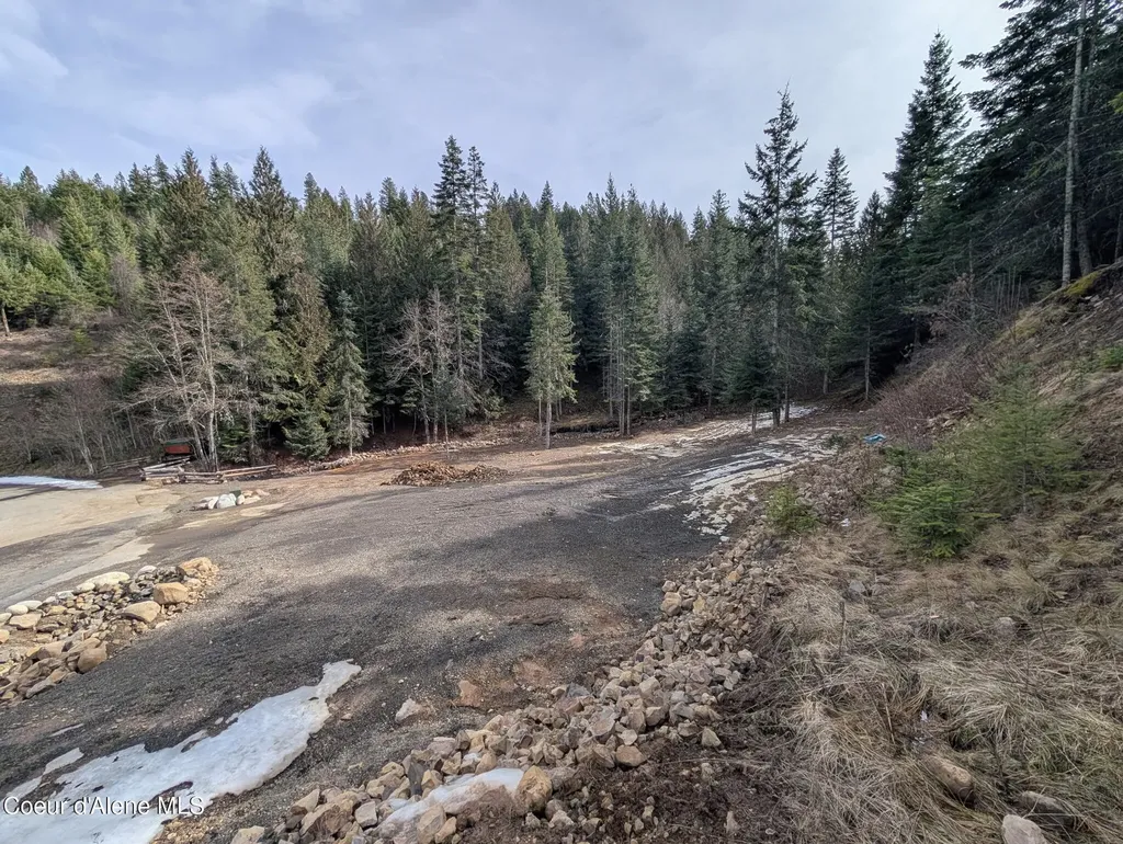Flying Eagle Lot 19 Harrison ID 83833