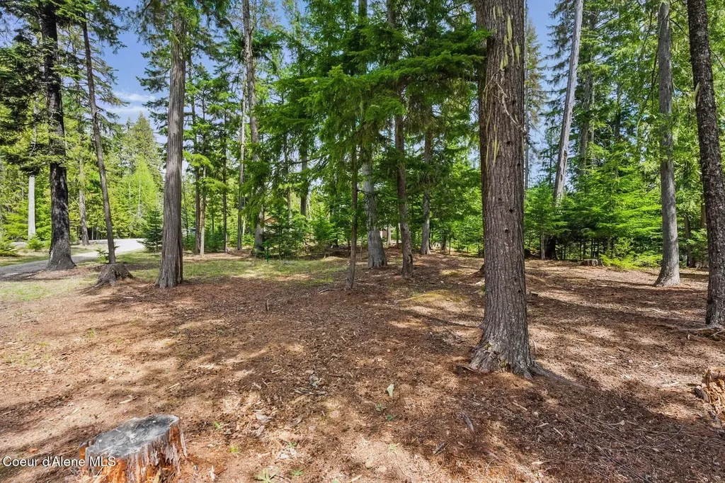 Lot 28 Bruin Road Nordman ID 83848