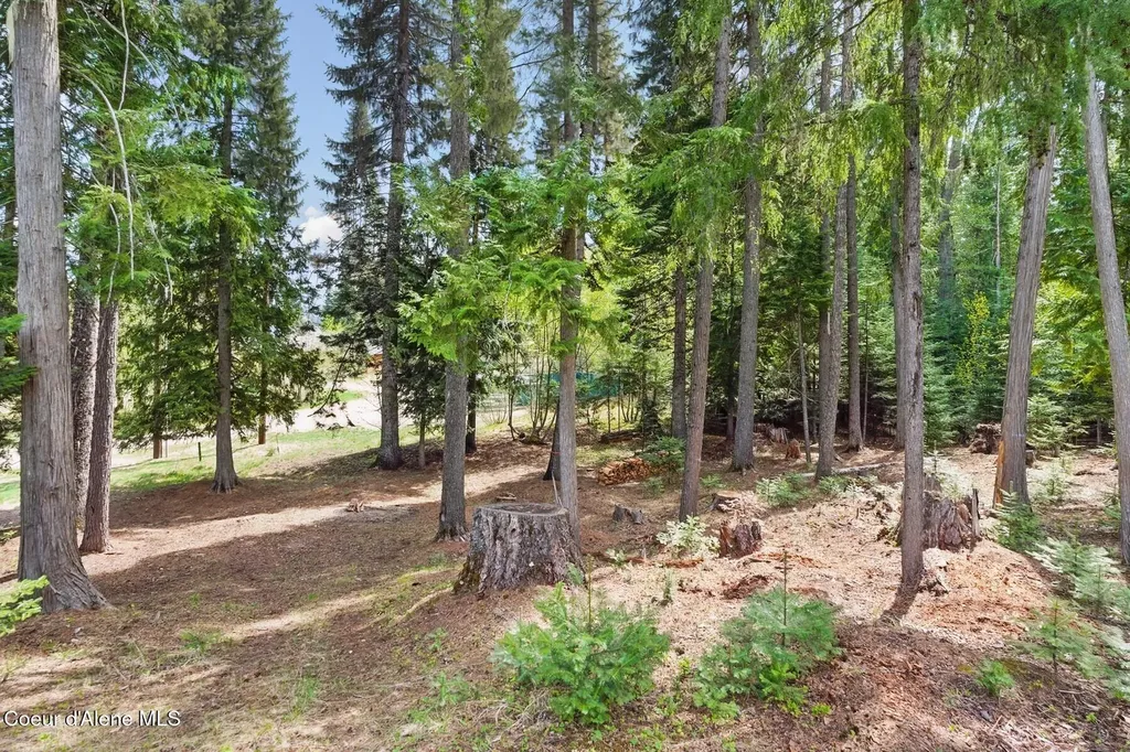 Lot 30 Bruin Road Nordman ID 83848