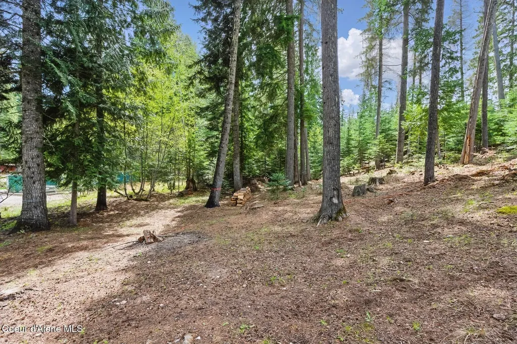 Lot 29 Bruin Road Nordman ID 83848