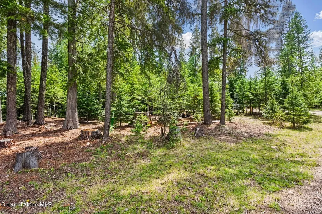 Lot 29 Bruin Road Nordman ID 83848