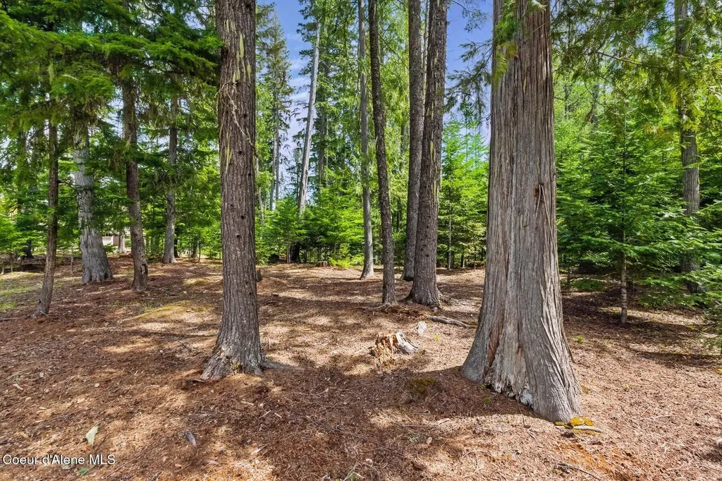 Lot 29 Bruin Road Nordman ID 83848
