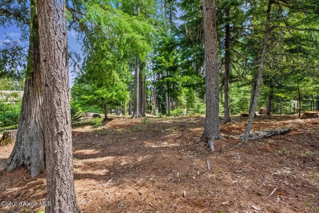 Lot 27 Bruin Road Nordman ID 83848
