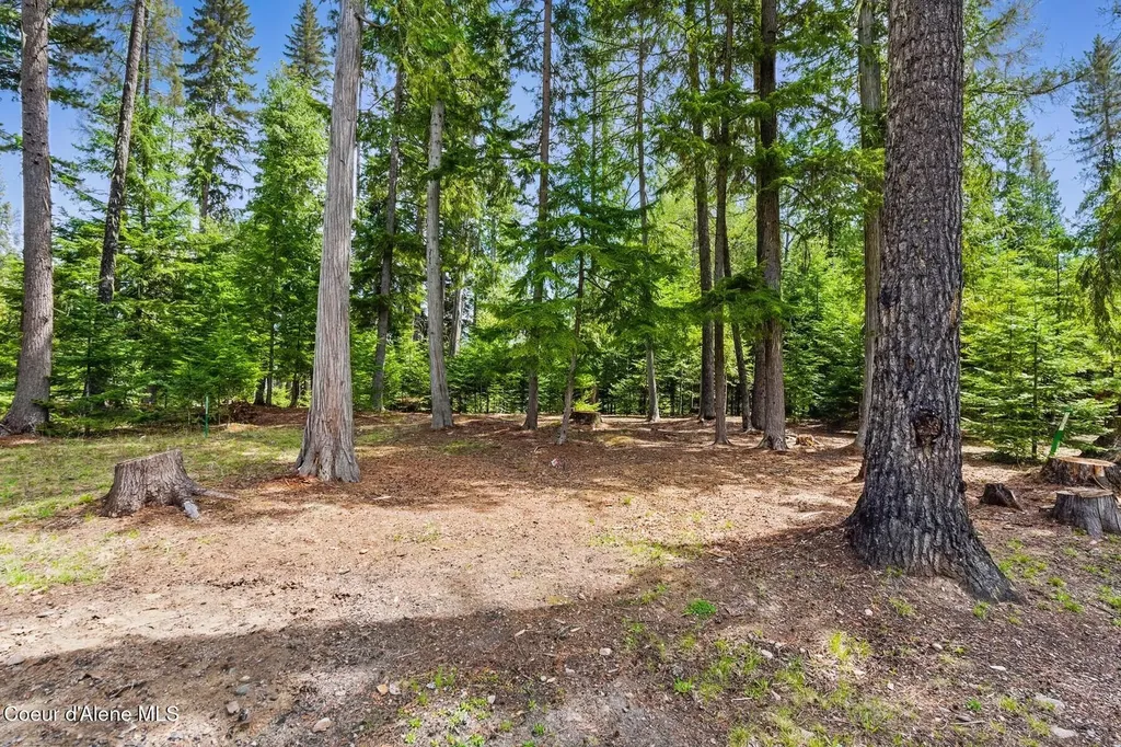 Lot 27 Bruin Road Nordman ID 83848