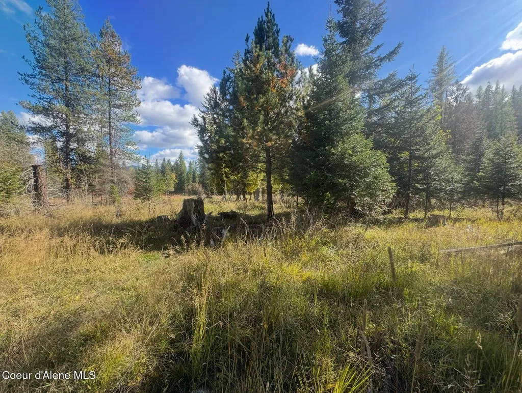 Nna Tanglewood Drive Priest River ID 83856