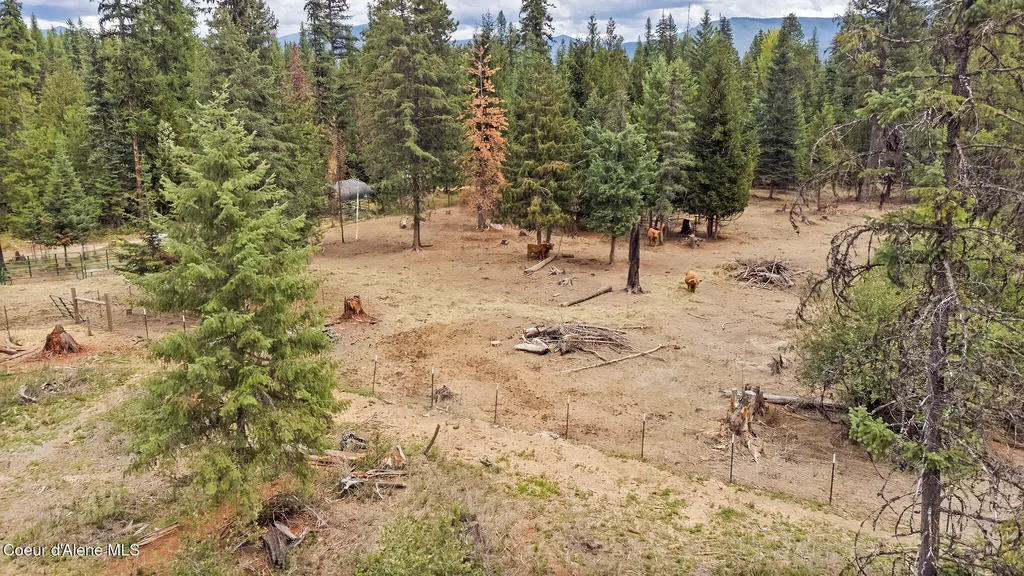 Nna Tanglewood Drive Priest River ID 83856