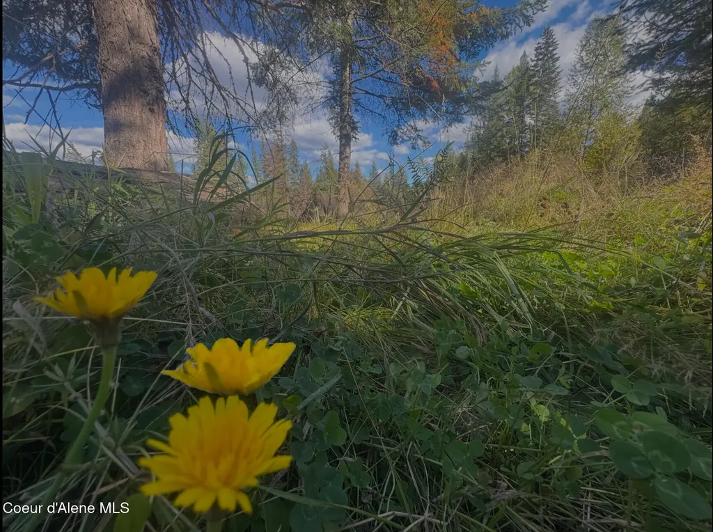 Nna Tanglewood Drive Priest River ID 83856