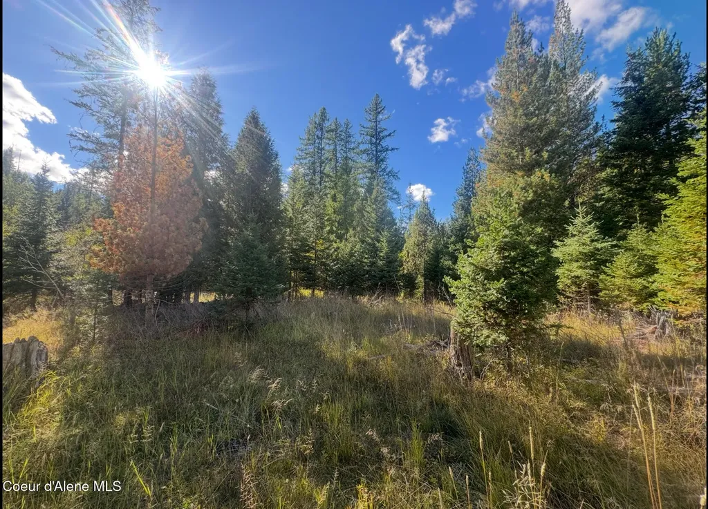 Nna Tanglewood Drive Priest River ID 83856