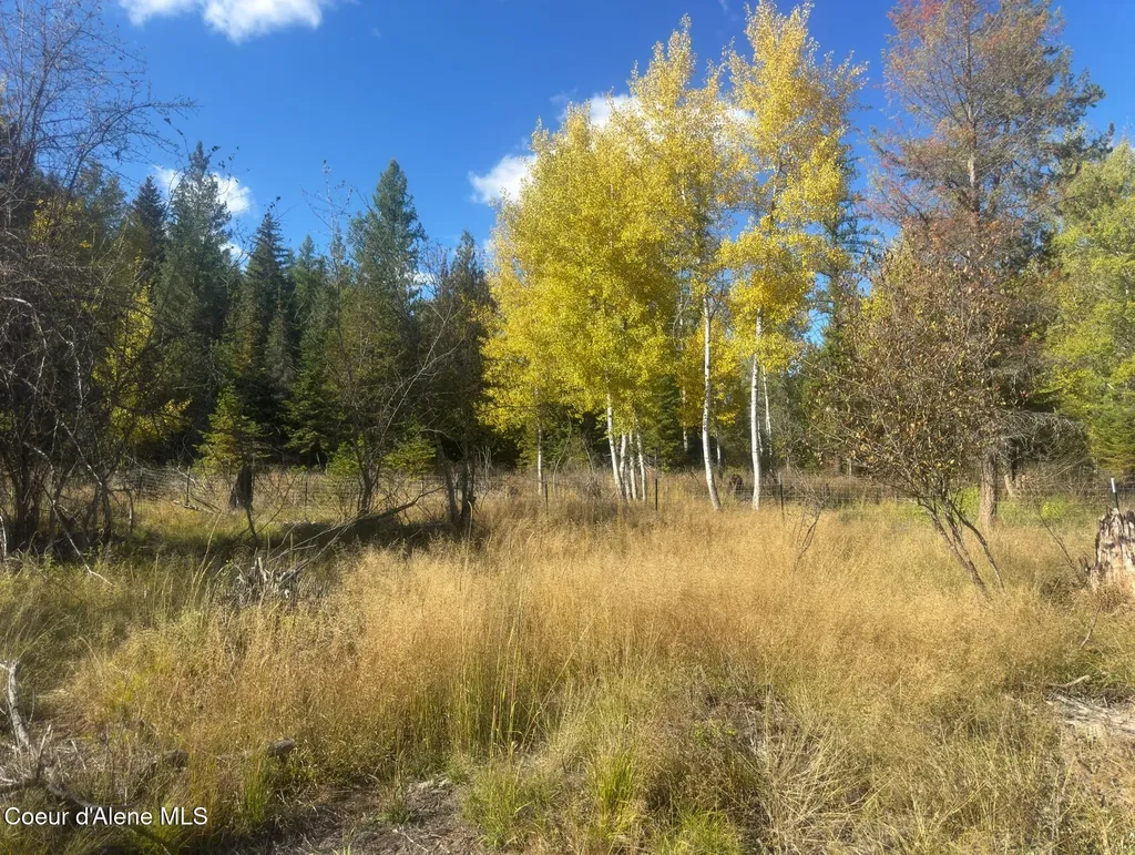 Nna Tanglewood Drive Priest River ID 83856