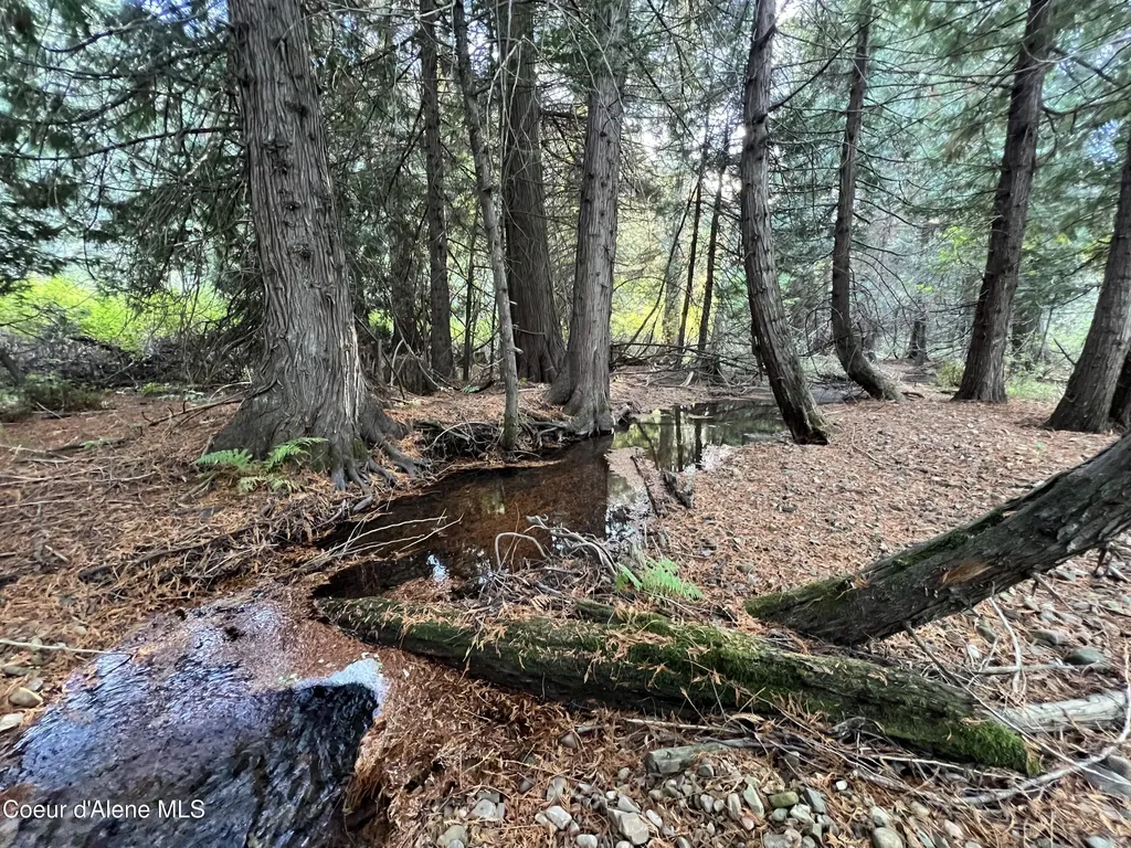 3579 Bear Creek Road Kingston ID 83839