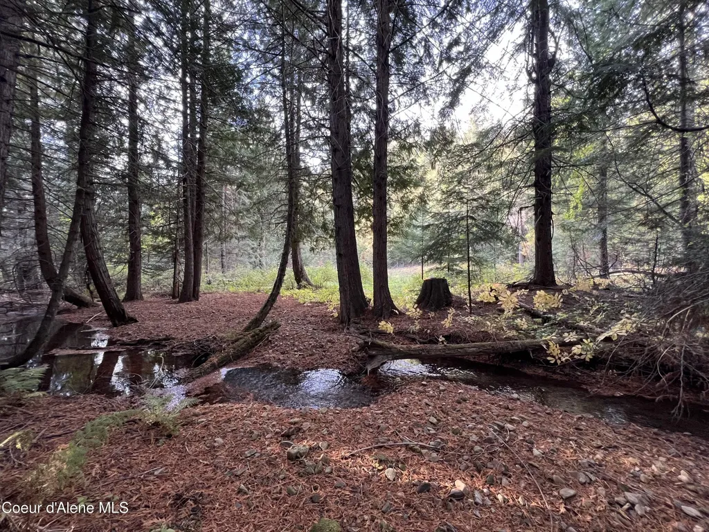 3579 Bear Creek Road Kingston ID 83839
