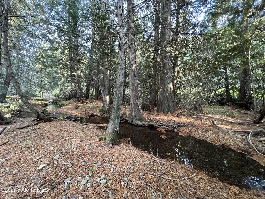3579 Bear Creek Road Kingston ID 83839