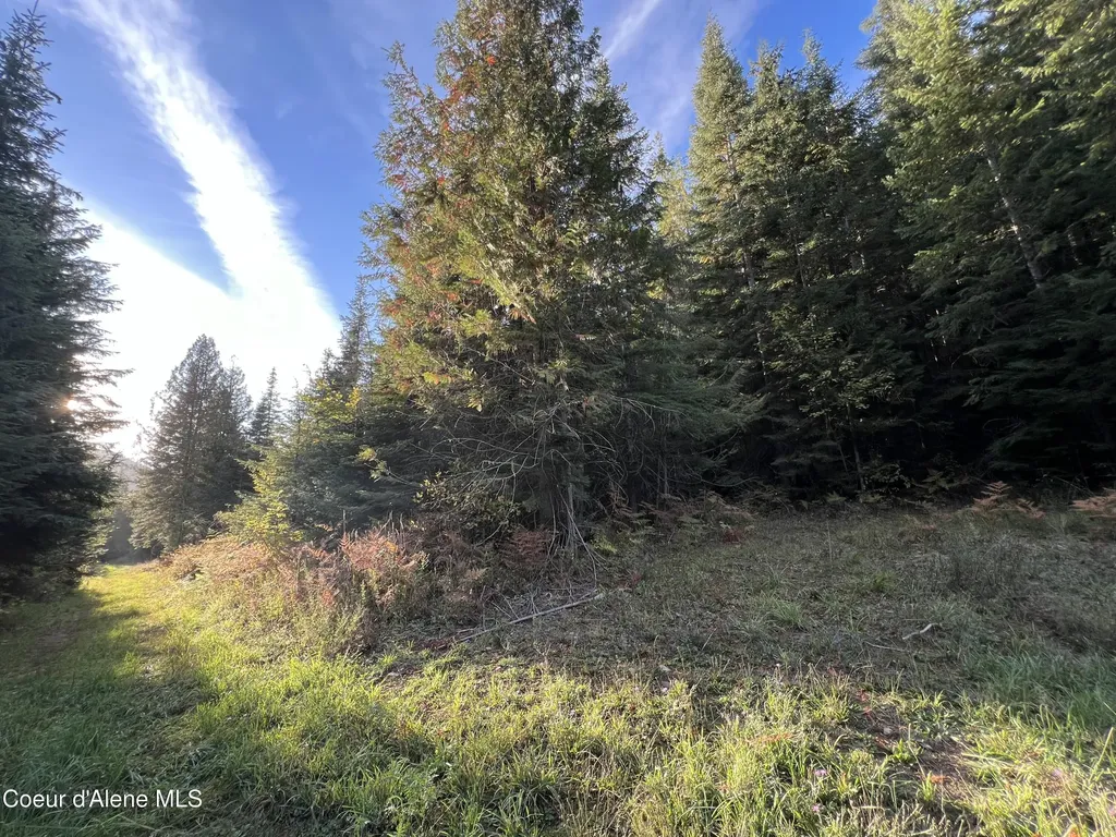 3579 Bear Creek Road Kingston ID 83839
