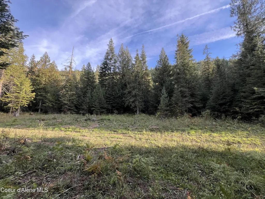 3579 Bear Creek Road Kingston ID 83839