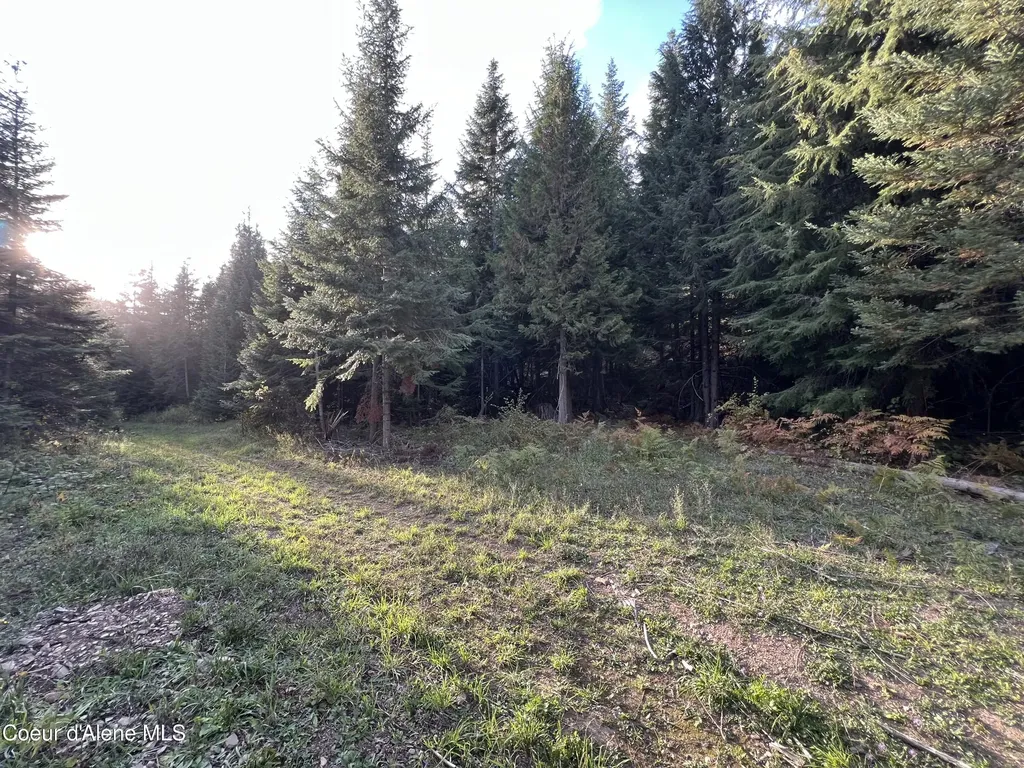3579 Bear Creek Road Kingston ID 83839