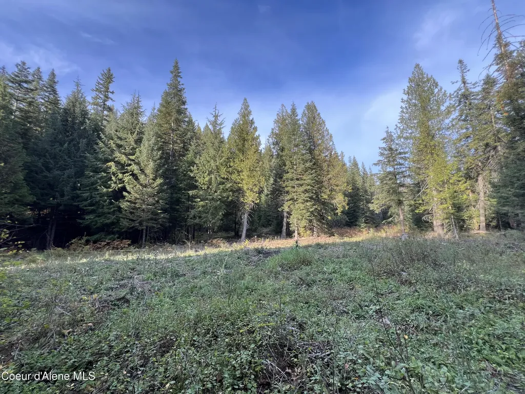3579 Bear Creek Road Kingston ID 83839