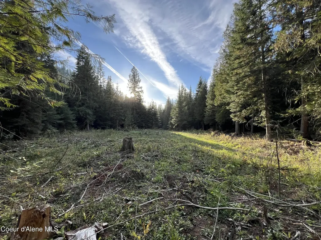 3579 Bear Creek Road Kingston ID 83839